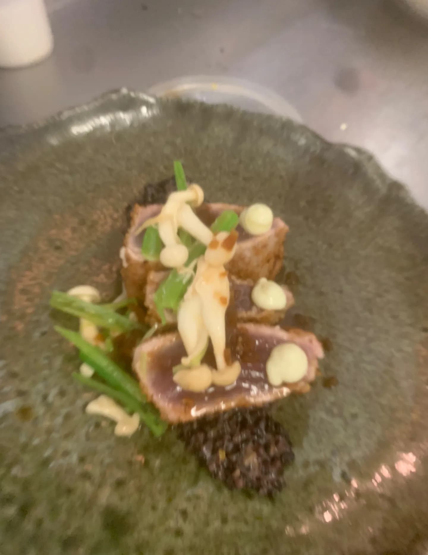 Chef tortuga image