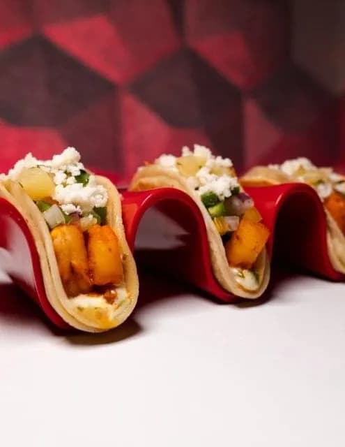 Chef tortuga image