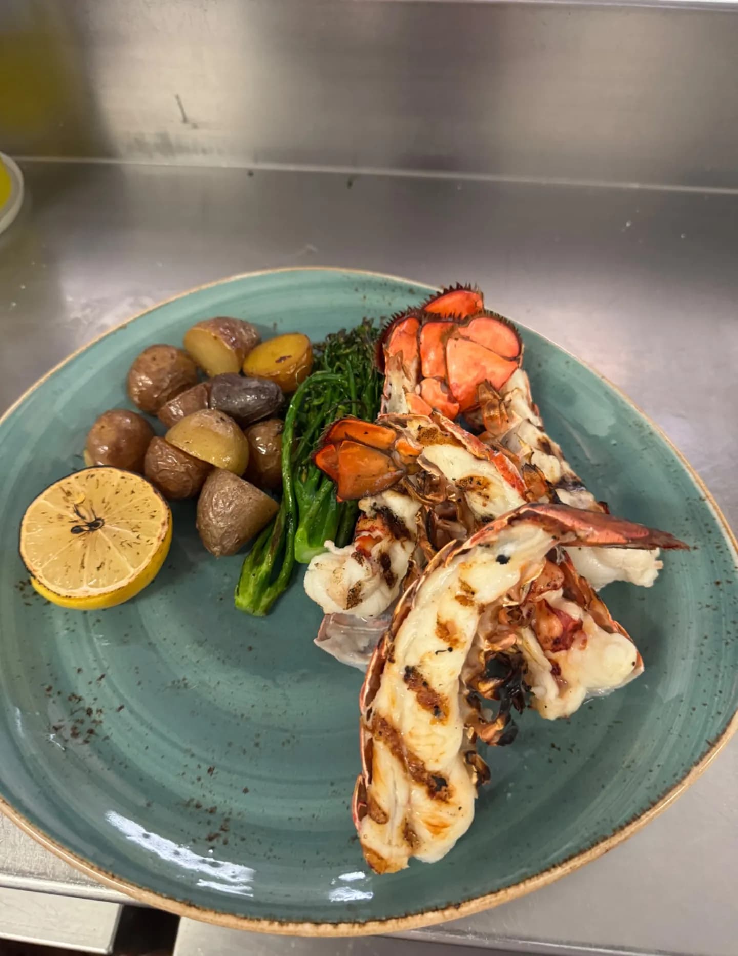 Chef tortuga image