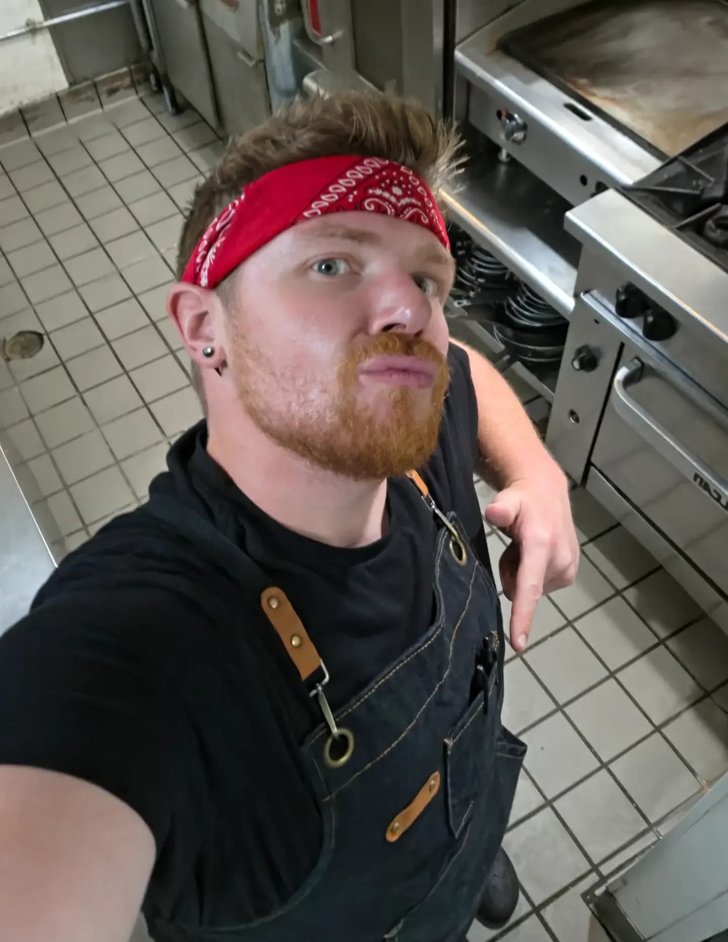 Terbear.eats image