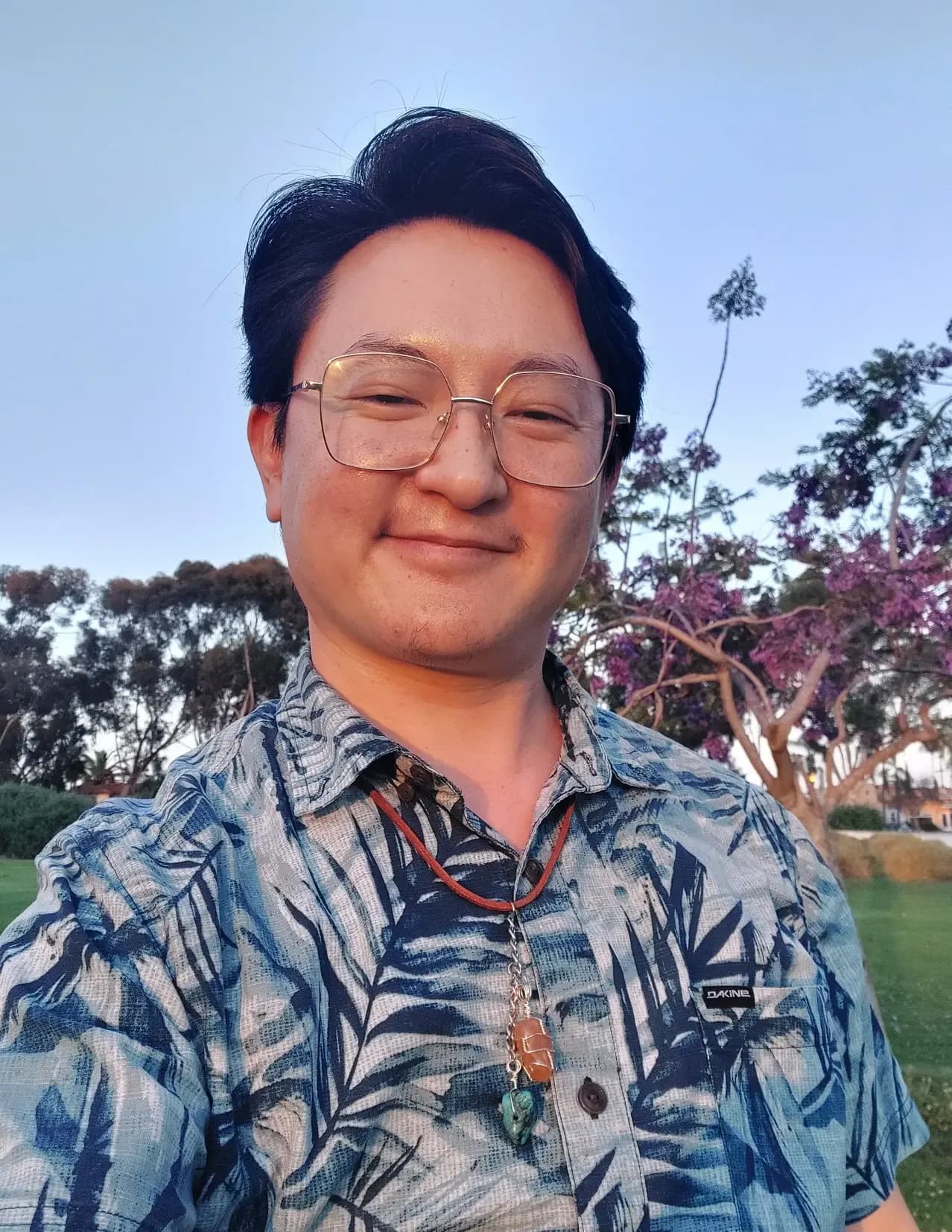 Chris Mok image