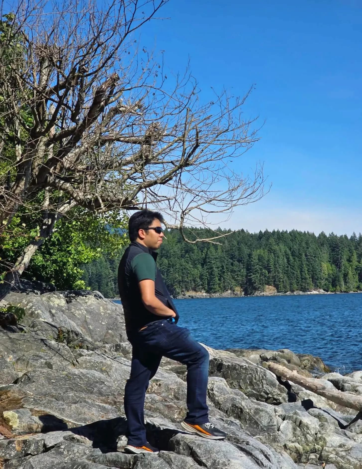 Louie Vargas image