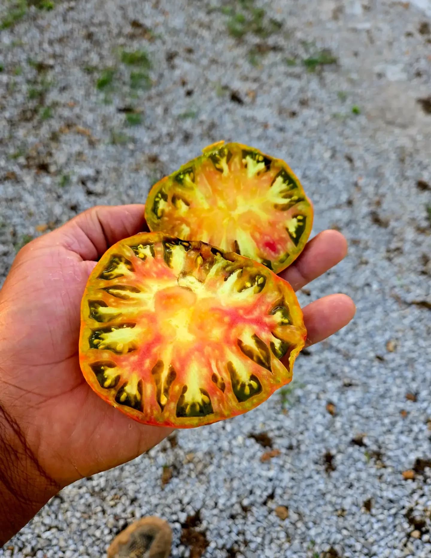 Chefharrell image