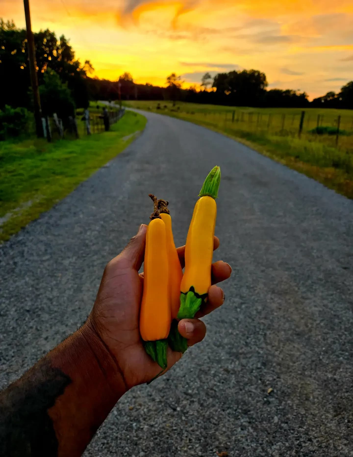 Chefharrell image