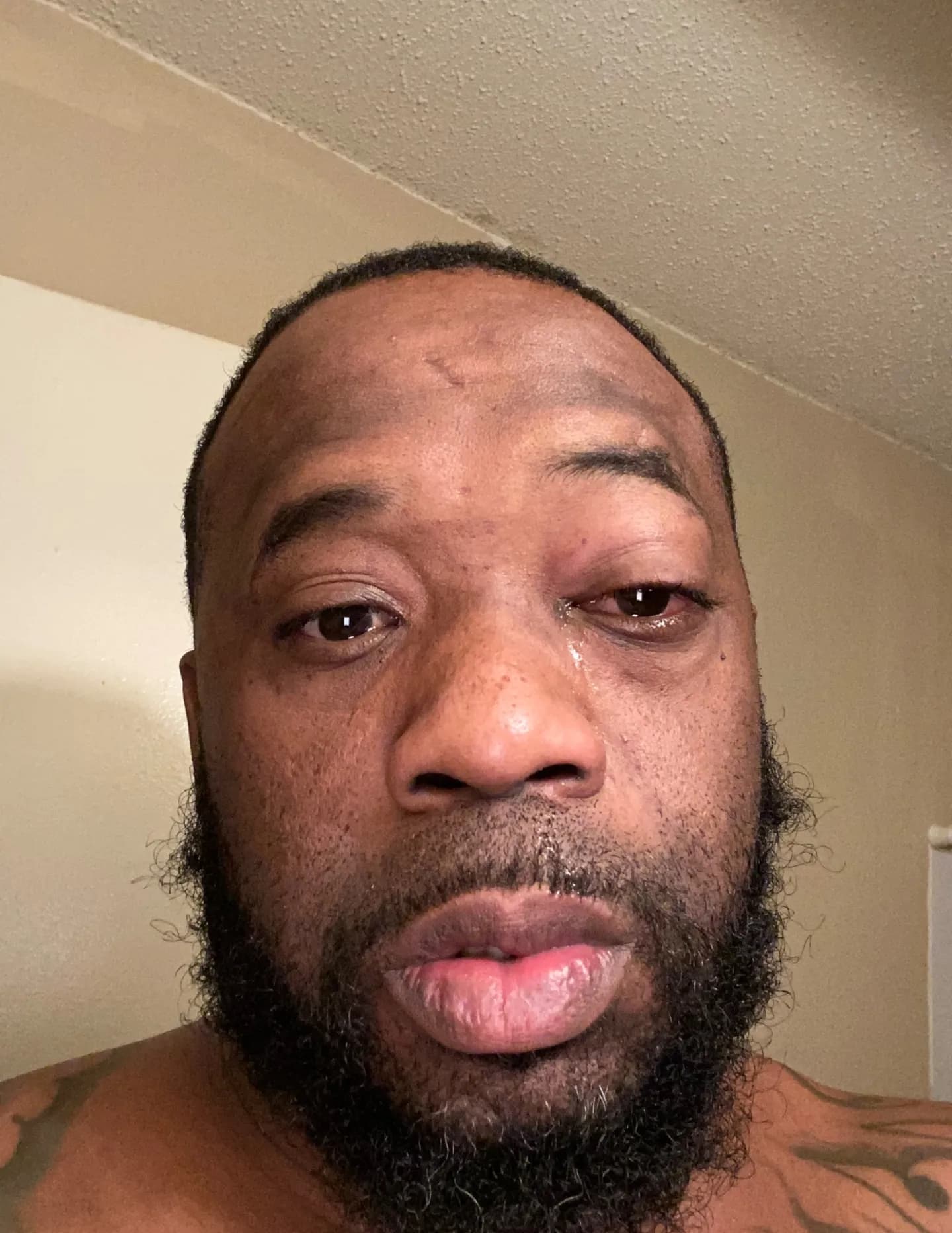 Chefdmillie image